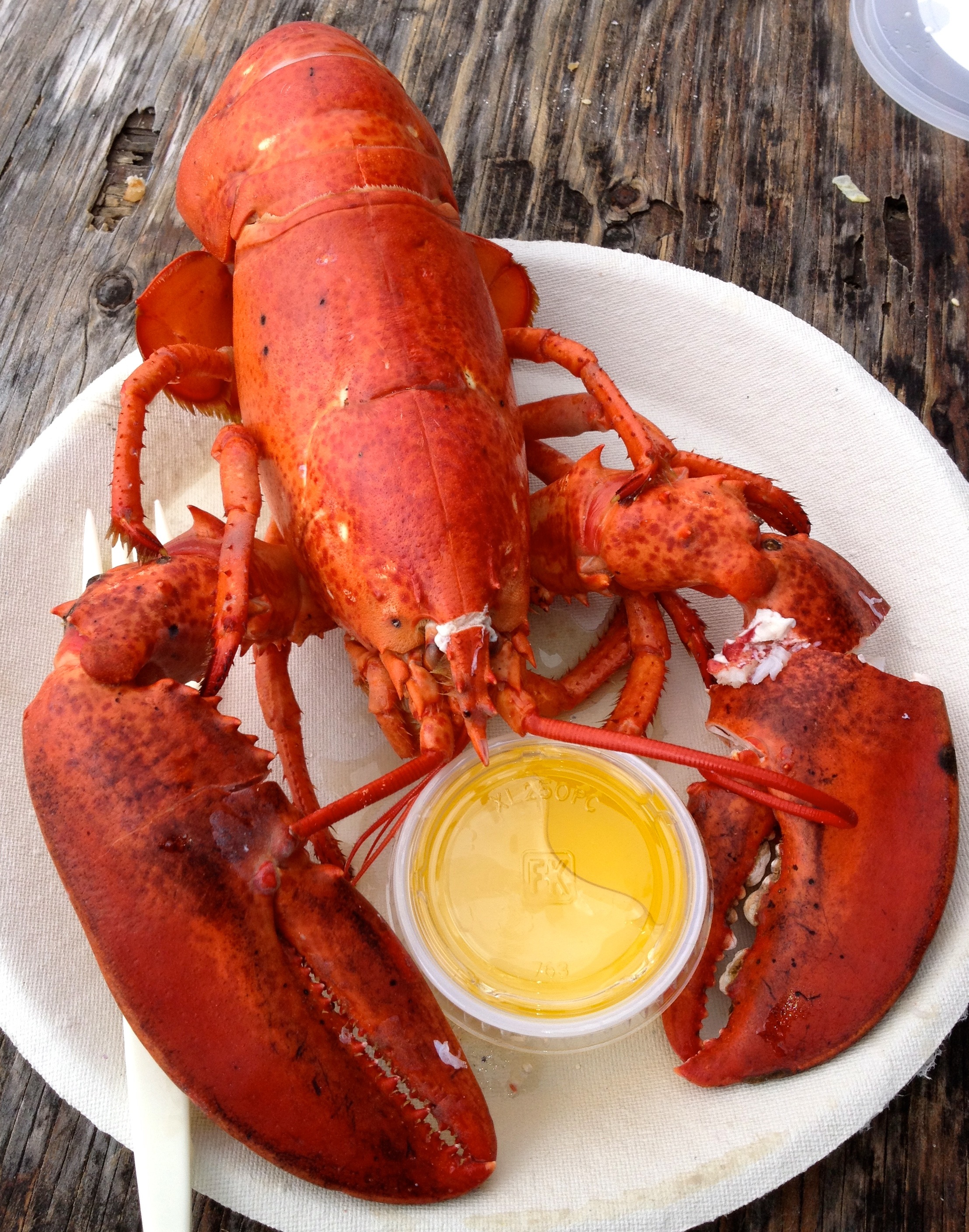 May you always have lobster!