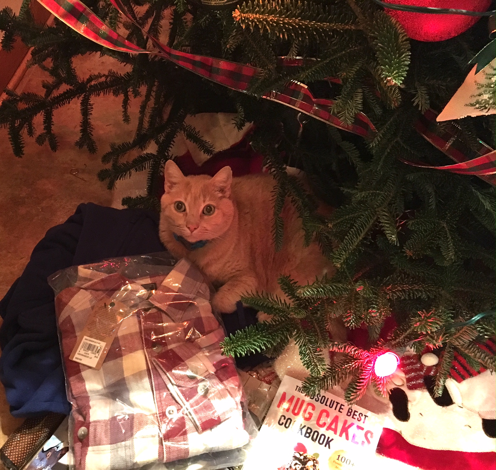 Elijah under the Christmas tree